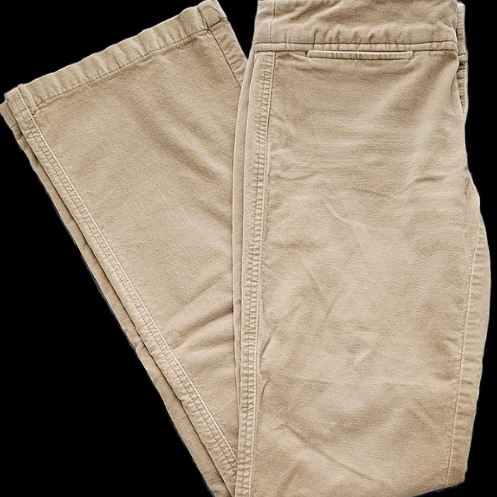 Express Size 1/2 Stretch Pants